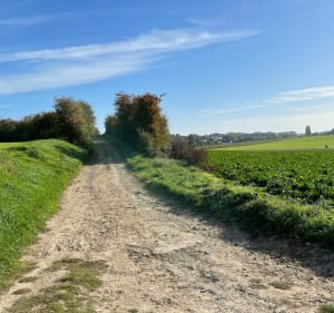 Boucle au sud-ouest de Caudry - Caudry - 2