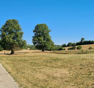 Les Chalesmes - Les Planches-en-Montagne - 5