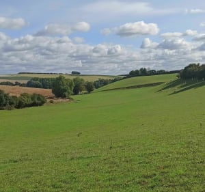 De Buicourt à Gerberoy en forêt - Gerberoy - 2