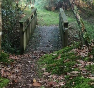 Les 3 chapelles (16/10/2022) - Arthez-de-Béarn - 2