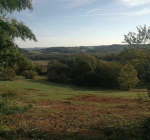 Les 3 chapelles (16/10/2022) - Decathlon - 4