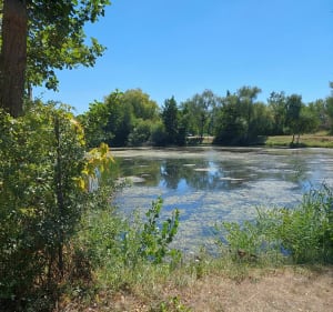 Boucle Maizières-les-Metz par Flevy - Maizières-lès-Metz - 2