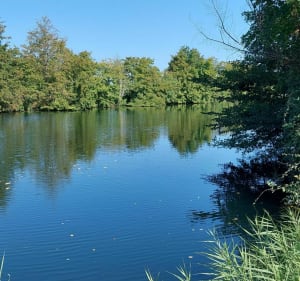 Mosnac et Malvy le long de la Charente - Florence - 6