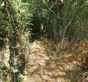 Boucle Parné-Entrammes-Parné - Parné-sur-Roc - 2