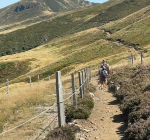 Balade des crêtes et Puy Griou - Le Lioran - 2