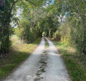 Début de Flow Vélo sur le chemin blanc - Saintes - - Saintes - 2