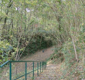 Rando Évreux - Gauville Mix Forêt/Voie verte - Évreux - 2