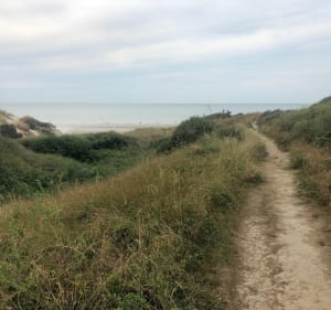 Sortie maritime et forestière: Sentier de Warenne - Hardelot - Condette - 2