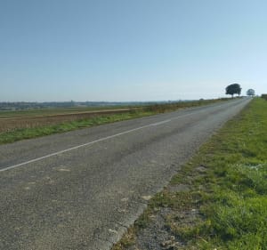 Balade vers Ergersheim - Claude - 3