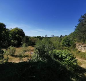 Plateau de Ludres- secrets de la castine - Ludres - 2