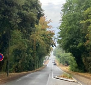 Training à Longeville : village - marais- forêt - village - Longeville-sur-Mer - 2