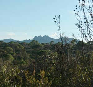 Ballade par la piste du trou de la Jarre - Roquebrune-sur-Argens - 2