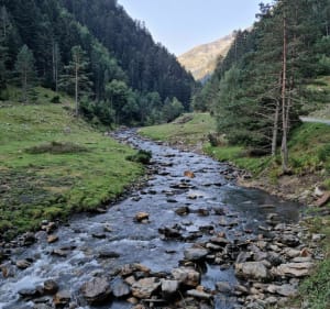 Randonnée matinale - Saint-Lary-Soulan - 2