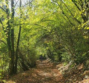 Balade à velo de Saint-Étienne à Saint-Victor-sur-Loire - Saint-Étienne - 2