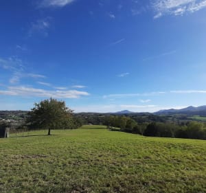 Balade à Saint-Pée-sur-Nivelle par la ferme de Maxalanea - Saint-Pée-sur-Nivelle - 4