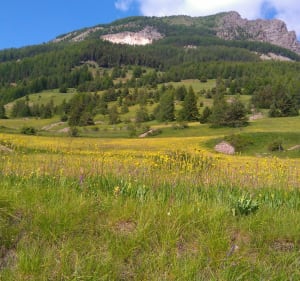 Grande boucle de Lou Pastre - Les Orres - 2