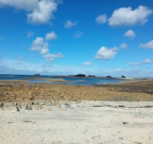 En longeant la côte de Port l'épine à Port blanc - Trélévern - 5