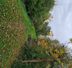 Promenade VTT en Bresse le long de la Saône - Châtenoy-en-Bresse - 2