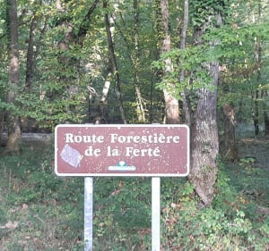 Boucle Lux, Sevrey, La Charmée, St Germain et Bois de la Ferté - Lux - 2