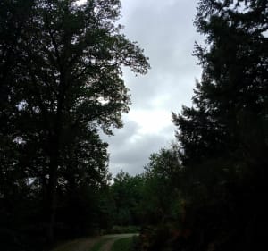 Randonnée autour de Moutier-Rozeille - Corinne - 3