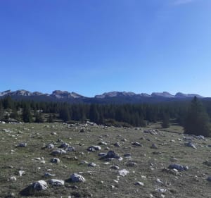 Prairie De Darbounouse - Decathlon - 4
