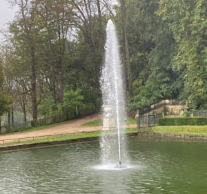 Le long du système hydraulique du Parc de Saint-Cloud - Jean-luc - 4