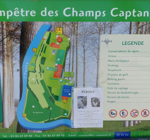 Balade dominicale des champs Captants et les Salcys - Sens - 2