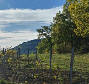 Autour de Beaufort et de Gervanne - Beaufort-sur-Gervanne - 2