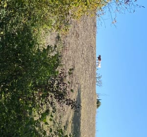 Balade du dimanche à l'Aussonnelle - Colomiers - 2