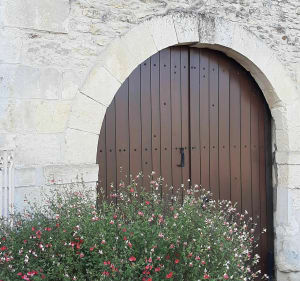 Autour de Saint-Georges, Fontaine, Ensoulesse, bois de Vayres - Saint-Georges-lès-Baillargeaux - 2