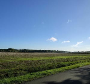 Chemin des 4 piliers et les Haizettes - La Queue-les-Yvelines - 2