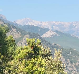 Punta di corbara - Ghisonaccia - 2