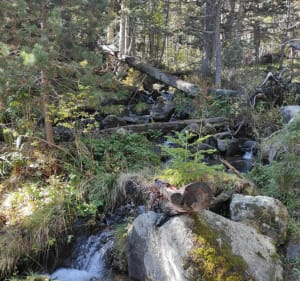 Chemin des Iglesiettes, aux Angles - Les Angles - 2