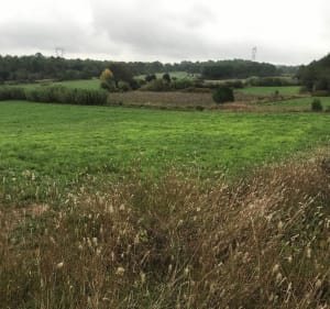 Sur les hauteurs de Montarnaud et le long de Bel-Air - Montarnaud - 2