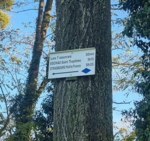 Entre forêt et passerelles de Fegersheim à Hipsheim - Fegersheim - 2