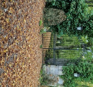 Entre Septeuil et Courgent - Septeuil - 2