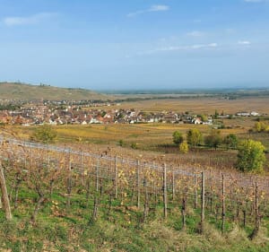 Ammerschwihr - Katzenthal par le Sommerberg - Ammerschwihr - 2