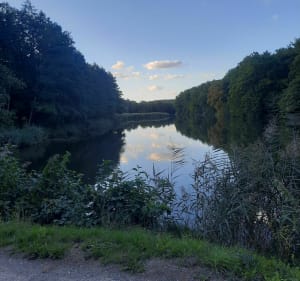 Balade autour de Ham-sous-Varsberg et Diesen - Ham-sous-Varsberg - 2