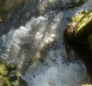 Le Gour de Conche - Salins les Bains - 2