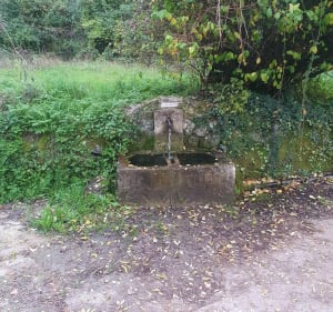 Sur les hauteurs de Parlatges - Saint-Pierre-de-la-Fage - 2