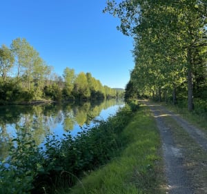 Boucle de l'étang aux Moines - Nicey-sur-Aire - 2