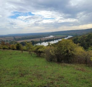 Vironvay belle balade sur les coteaux - Vironvay - 2
