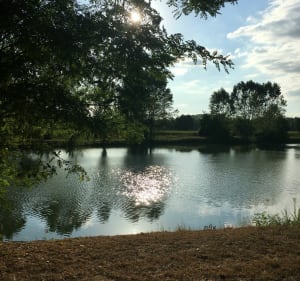 Entre le lac d’Izotges et le lac de Cahuzac - JULIE - 2