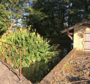 Entre le lac d’Izotges et le lac de Cahuzac - Izotges - 2