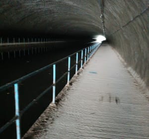 Le long du canal de la Marne à la Saône - Irène - 3