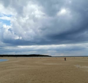 Tussen de moerassen en het strand van Guittière en Veillon - Talmont-Saint-Hilaire - 2