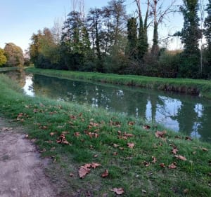 De Cher-vallei van Chenonceau tot Selles sur Cher - Chenonceaux - 2