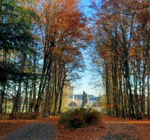 Sortie hivernale très fraîche et haute en couleurs autour de Laigné - Carole - 2