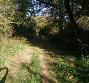 Balade à Sainte-Suzanne (cclo n°38) - Orthez - 2