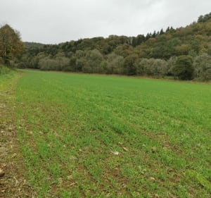 Balade autour du Torrod - Guilligomarc'h - 3